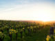 randos vignoble